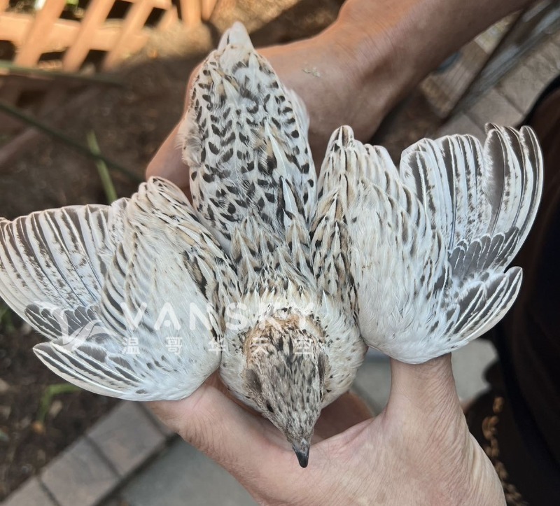 240817162232_Weixin Image_20240817161310.jpg